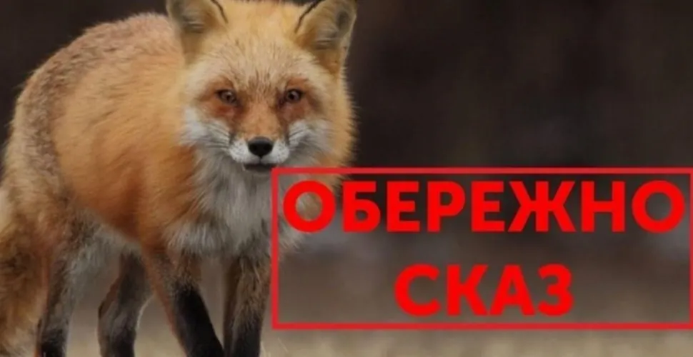 сказ, захворюванність, щеплення