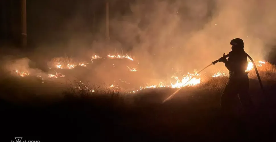 На Дніпропетровщині за добу вигоріло понад 76 гектарів екосистем