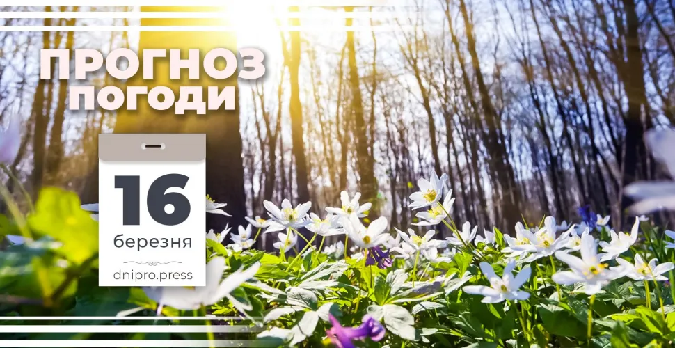 Погода на 16 березня: у Дніпрі та області очікується дощ та туман