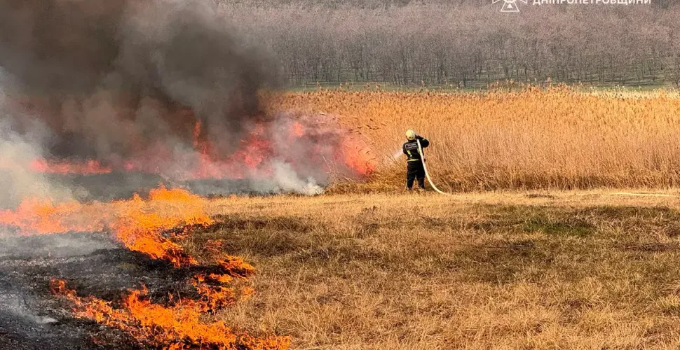 На Дніпропетровщині за добу ліквідували 115 пожеж в екосистемах