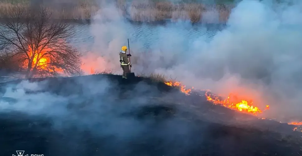 Рятувальники щоденно борються з масштабними пожежами в екосистемах регіону