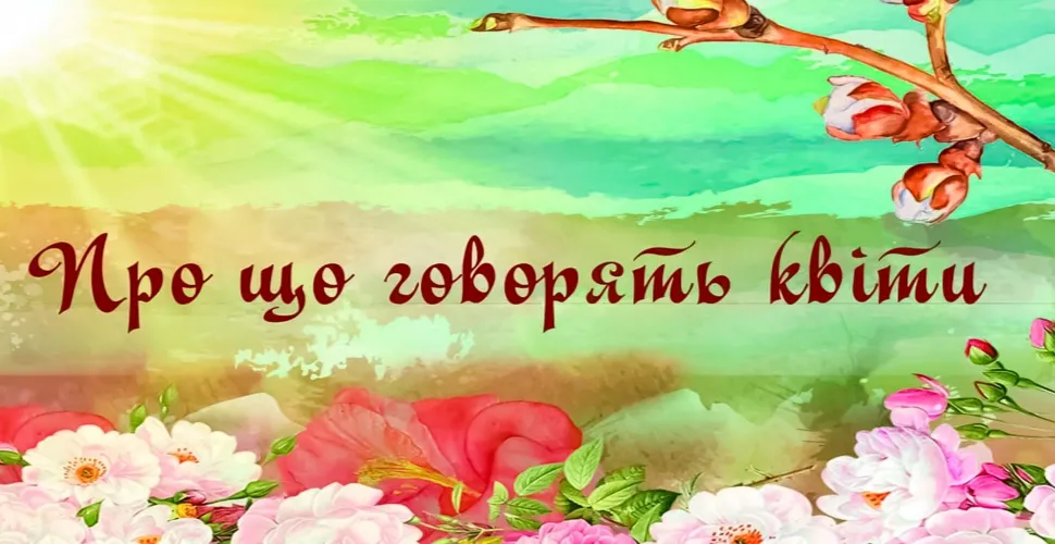 історичний музей, проєкт, митці, чаювання, шоколад