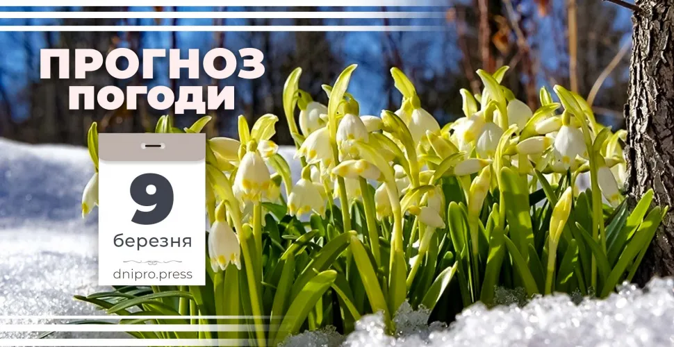 погода 