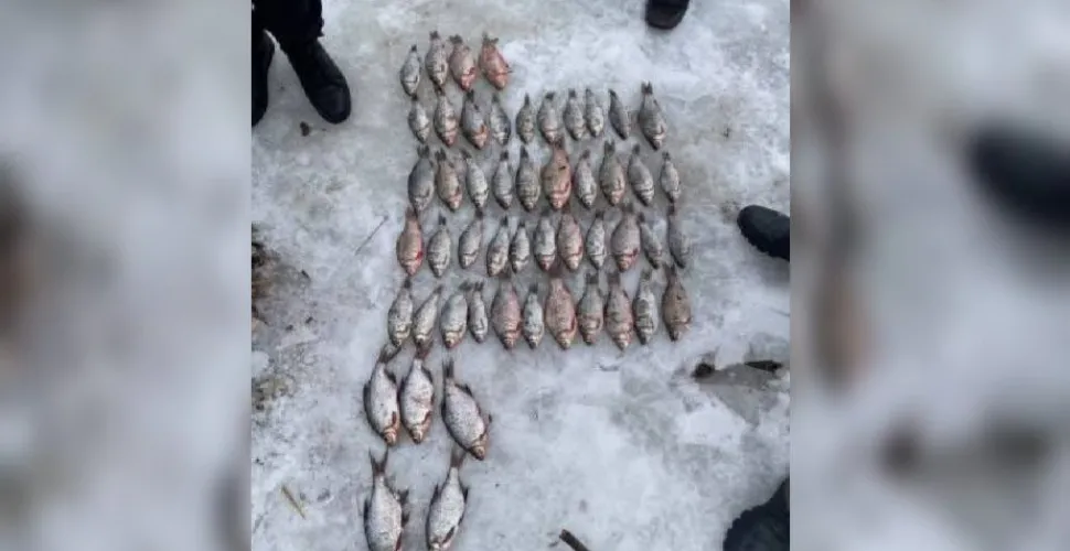 піймали браконьєра