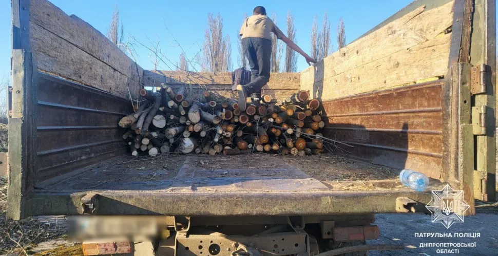 затримали чорних лісорубів у Верхньодніпровську