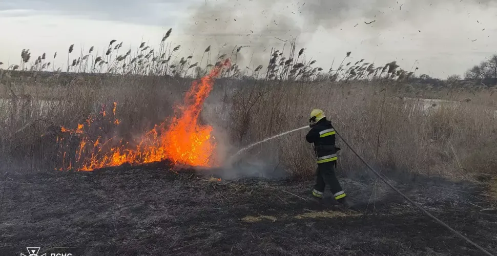 пожежі