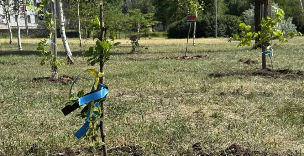 У Кривому Розі висадили «Алею Надії» на честь зниклих та полонених військових