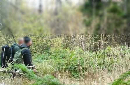 Закарпаття 