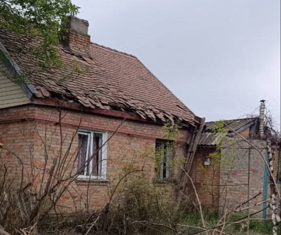Нікопольшина