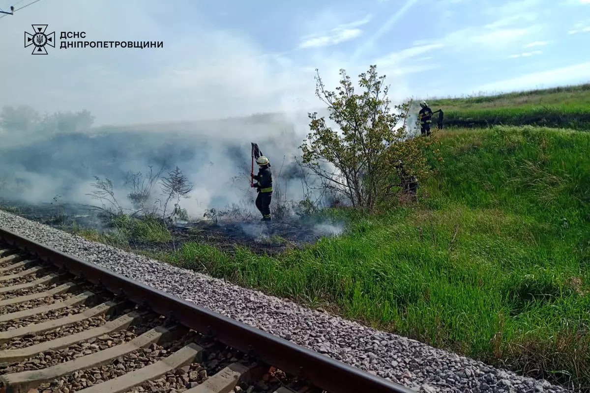 пожежа в лісі