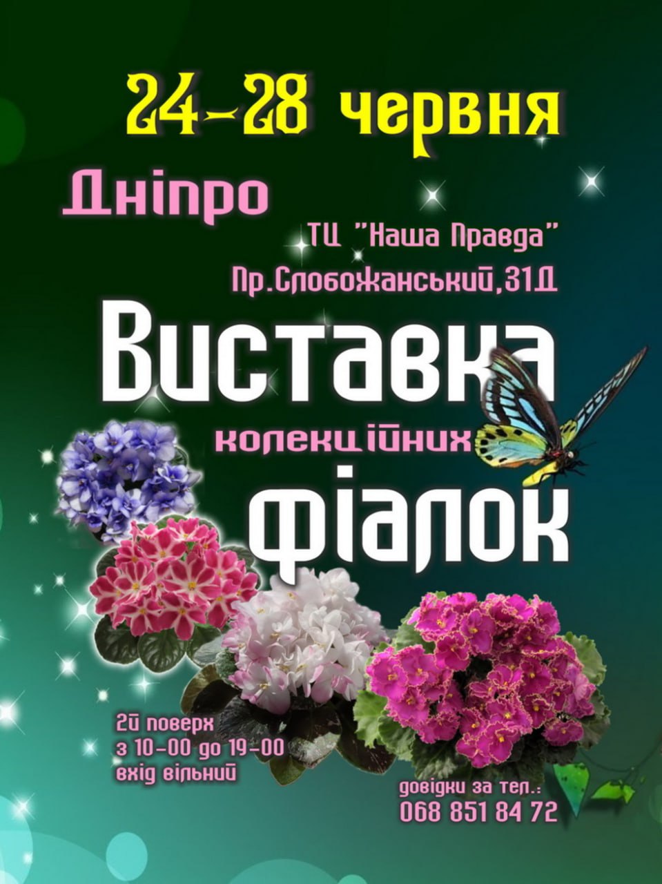 виставка фіалок