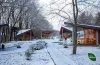 рекреаційні пункти, ліси