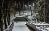 парк Зелений Гай, відлякувач птахів