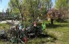 Цікава програма, парки, сквери, місто