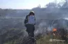 статистика, ДСНС, тиждень