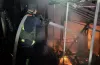 пожежа, загибель, свійські птахи