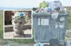 неочікуване призначення, сміття