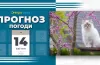 Увага, заморозки! Прогноз погоди на 14 квітня в Дніпрі та області 