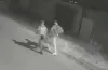 підпал авто, злочинець