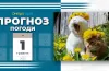 прогноз погоди