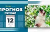 прогноз погоди