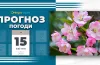прогноз погоди