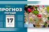 прогноз погоди