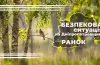 безпекова ситуація