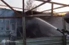 дснс