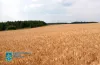 область