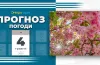 Прогноз погоди на 4 травня: у Дніпрі та області — тепло, але вітряно