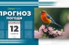 Прогноз погоди на 12 травня