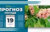 Прогноз погоди на 19 травня для Дніпропетровщини та Дніпра