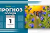Прогноз погоди на 1 червня: на Дніпропетровщині — тепло, місцями дощі
