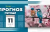погода