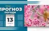 прогноз погоди, дощ