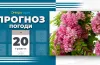 прогноз погоди