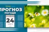 погода