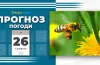 прогноз