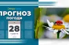 28 травня погода