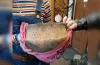 Історичний музей Дніпра поповнився стародавніми артефактами 