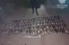 риба