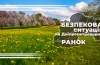 безпекова ситація