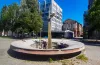 водограй, Купідон