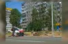 тополі, вирубування, комунальники, зливова каналізація