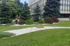 покос трави, благоустрій