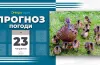 Прогноз погоди на 23 червня: у Дніпрі та області очікується дощ і гроза