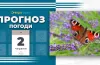 погода