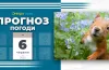 прогноз погоди