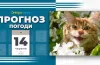 прогноз погоди